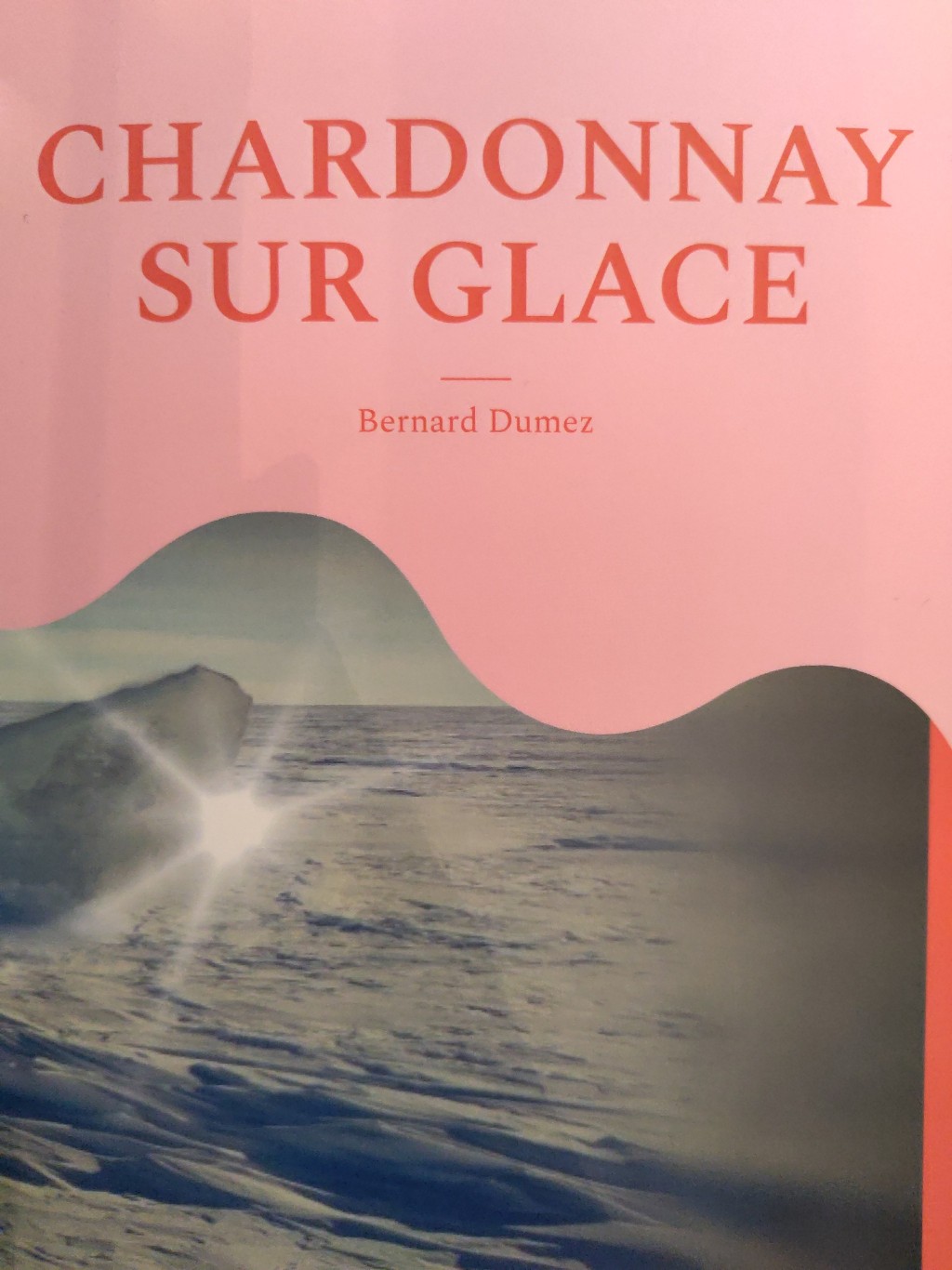 Bernard Dumez: Chardonnay sur glace (Hardcover, Français language, BOD - Book on Demand)